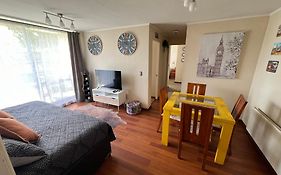 Departamento Park Collao Suit - Empresas Factura - Parking - Wifi
